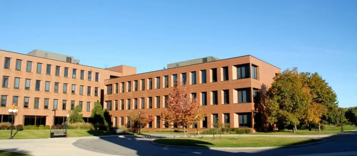 Leveraging B-Schools For Business Advantage!